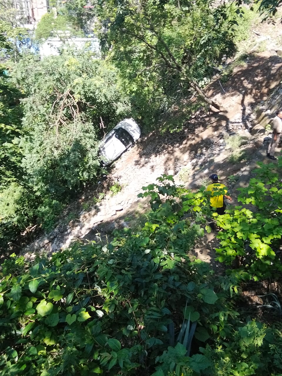 कोडियाला में बड़ा हादसा टला: सड़क से फिसलकर 10 मीटर नीचे पेड़ पर अटका वाहन, SDRF ने चार लोगों की बचाई जान