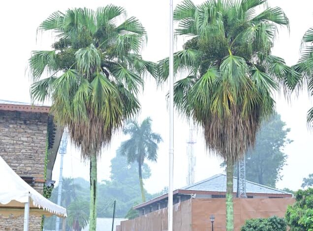 79वें स्वतंत्रता दिवस पर सीएम धामी ने किया ध्वजारोहण, दिलाई राष्ट्रीय एकता की शपथ 79वें स्वतंत्रता दिवस पर सीएम धामी ने किया ध्वजारोहण, दिलाई राष्ट्रीय एकता की शपथ